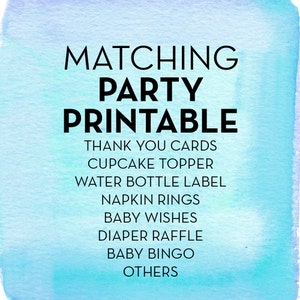 Matching Party Accessories / Cupcake Toppers / Water Bottle Label / Banner / Diaper Raffle / Baby Wishes / **Digital File