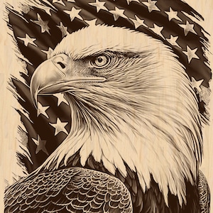 Laser Burn Eagle PNG: Patriotic American Flag Design (Digital Design File)