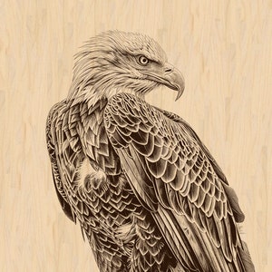 Bald Eagle Laser Engraving, Wildlife Art, Rustic Eagle Decor, Detailed Bird of Prey Design, Digital Download for Engraving