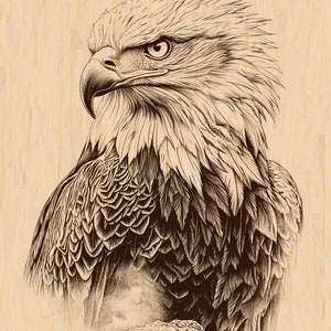 Bald Eagle Profile, Majestic Wildlife Laser Engraving, Detailed Eagle Art PNG, Instant Digital Download, Laser Ready