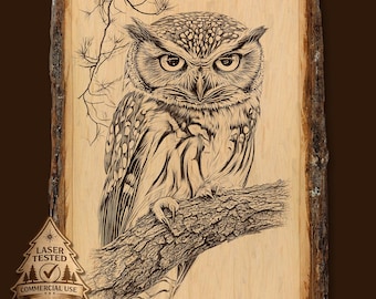 Owl Laser Engraving File, Owl PNG, Wildlife Bird Engraving Design, Woodland Owl Laser Engrave Art, Commercial Use