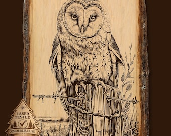 Barn Owl Laser Engraving: Wildlife Art PNG (Digital Download)