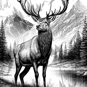 May include: A black and white illustration of a large male elk standing in a forest by a lake. The elk has large antlers and is looking to the right. The background shows a mountain range and a forest.