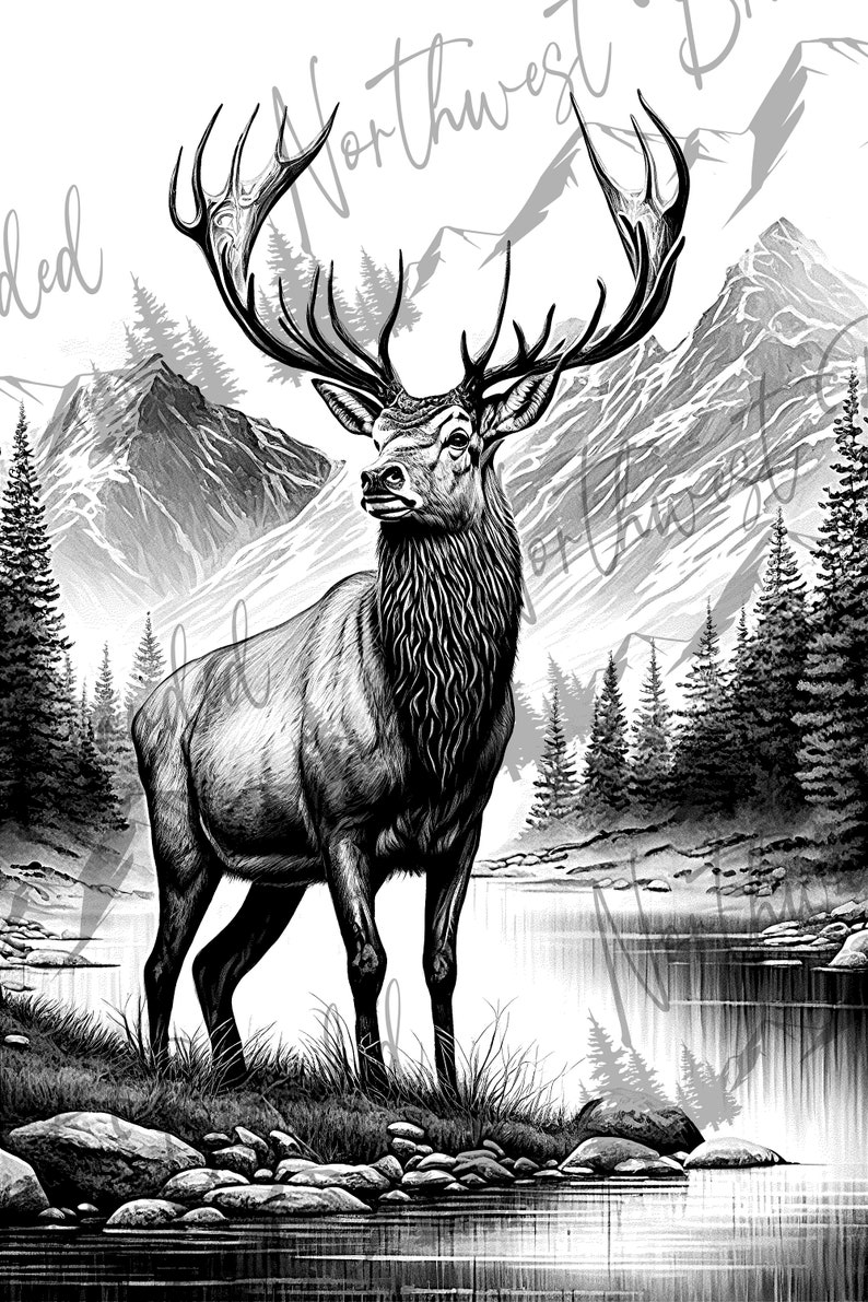 May include: A black and white illustration of a large male elk standing in a forest by a lake. The elk has large antlers and is looking to the right. The background shows a mountain range and a forest.