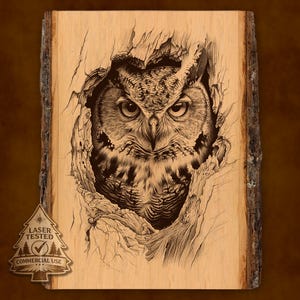 Owl Laser Engraving File, Wildlife Tree PNG, Rustic Wood Art Digital Download, Commercial Use