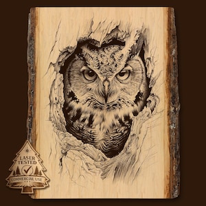May include: A detailed wood carving of an owl emerging from a torn tree trunk. The owl is rendered in intricate detail with a focus on its eyes and feathers. The wood has a natural bark edge. The text "LASER TESTED COMMERCIAL USE" is visible.