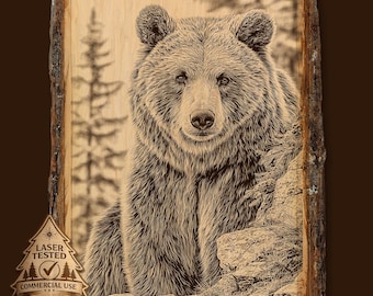 Grizzly Bear Log Forest Scene Wild Animal Wildlife Scene Laser