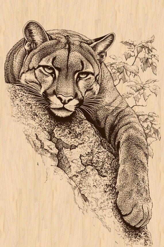 Cougar Laser Engraving File: Wildlife Sketch (PNG & JPEG) - Etsy