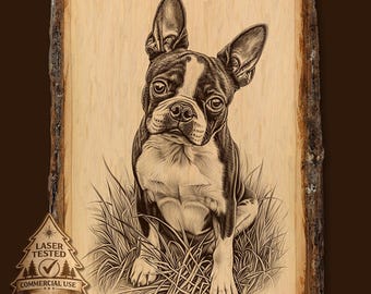 May include: A laser-etched wooden plaque featuring a Boston Terrier dog sitting in grass. The dog is black and white with large ears and a focused gaze. The plaque has a natural wood edge and a "Laser Tested Commercial Use" logo.