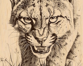 May include: A close-up of a lynx with its mouth open, showing its teeth. The lynx is looking directly at the viewer. The lynx is in a crouched position, with its paws on the ground. The lynx is surrounded by tall grass.