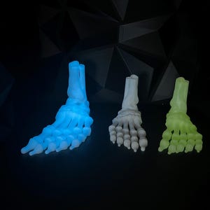flexi skeleton foot flexible articulating fidget