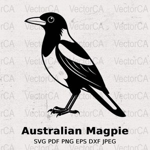 Pie australienne SVG, compatible Cricut, téléchargement numérique instantané, fichier de coupe, Image de la silhouette pour l'artisanat et la conception, oiseau australien SVG