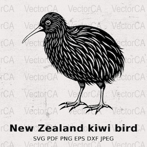 New Zealand Kiwi Bird SVG, Cricut Ready, Instant Digital Download, Vector Cut File, Silhouette Image for Craft Projects, NZ Native bird SVG