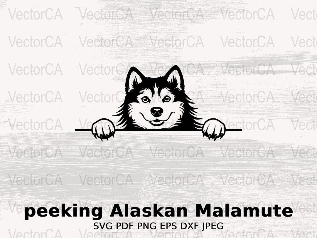 Peeking Alaskan Malamute SVG, Dog Breed Vector Design, Pet Art ...