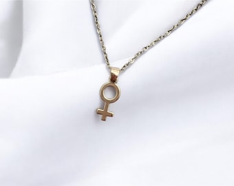 Feminist Necklace Female Symbol Gift for Feminist Minimalistic Jewelry Woman Symbol Necklace Venus Symbol Silver Imitation