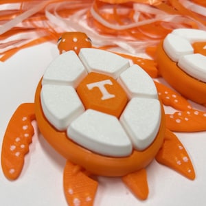 May include: Orange and white turtle keychain with a white "T" on the shell.