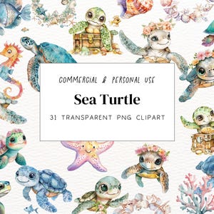 Watercolor Sea Turtle Clipart | Turtle Png | Cute Sea Turtle Clipart | Digital Download | Marine Turtle | Nautical Clipart | Ocean Animals