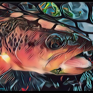 May include: Close-up of a trout's head with a bright orange and red colour scheme. The fish is in a net with a blue and black background.