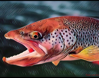 Stillwater Brown Trout Fly Fishing T-Shirt | Colorado Design