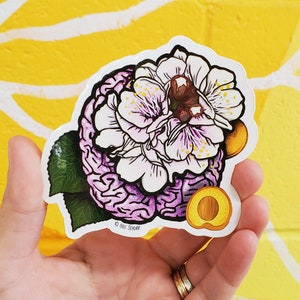 Brain/Apricot Blossom Sticker
