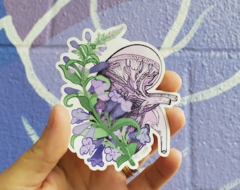 Könnte beinhalten: Ein Aufkleber mit einer detaillierten anatomischen Illustration einer menschlichen Niere, umgeben von lila Blumen und Blättern. Die Niere ist in Rosa- und Lilatönen dargestellt, mit sichtbaren, komplizierten Adern und Arterien. Die Blumen sind leuchtend lila, mit grünen Blättern. Der Aufkleber ist auf weißem Papier gedruckt.
