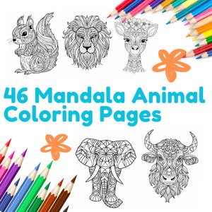 Páginas para colorir animais de mandala fáceis, 46 livros de colorir de alta qualidade, páginas para colorir tamanho carta e A4 para impressão