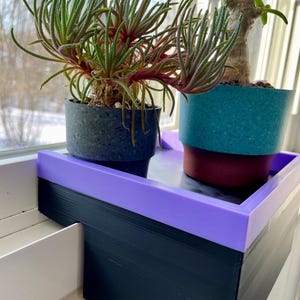 Horizontal Window Plant Shelf: Maximize Space & Light
