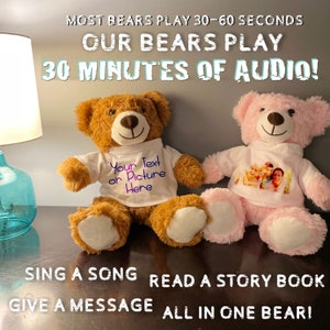 Little Lion - Voice Recording Teddy Bear - Length 25 Cm - Record A