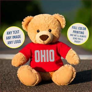 Personalized Orange Teddy Bear Shirt: Custom Plushie Apparel (fits