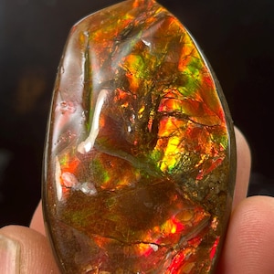 Iridescent Ammolite.  AAAA-High Gem  Quality from Alberta Canada. 190.5Cts.   5.7 x 3.2 x 1.2 cm.  (Comes with Certificate of Authenticity.)