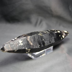 All Natural Rare Smoky Quartz Double Terminated 28 x 4 x 6 cm. Quartz Crystal from Lake George Colorado.  A Unique and Amazing Piece!