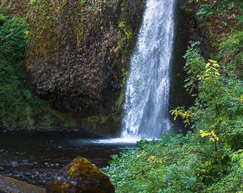 May include: A waterfall cascades down a moss-covered rock face, creating a pool of water at the bottom. Lush green foliage surrounds the waterfall.
