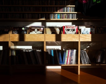 May include: A wooden shelf unit with multiple rows of vinyl records. The shelves are filled with records in various genres, including metal, classic and neo soul, reggae and ska. The record covers feature album art with titles like "Alvino Gorilla" and "Skaface".