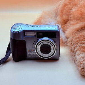 May include: A silver and black Kodak digital camera with a Schneider-Kreuznach lens. The camera has a flash and a black strap. The camera is next to a fluffy orange cat.