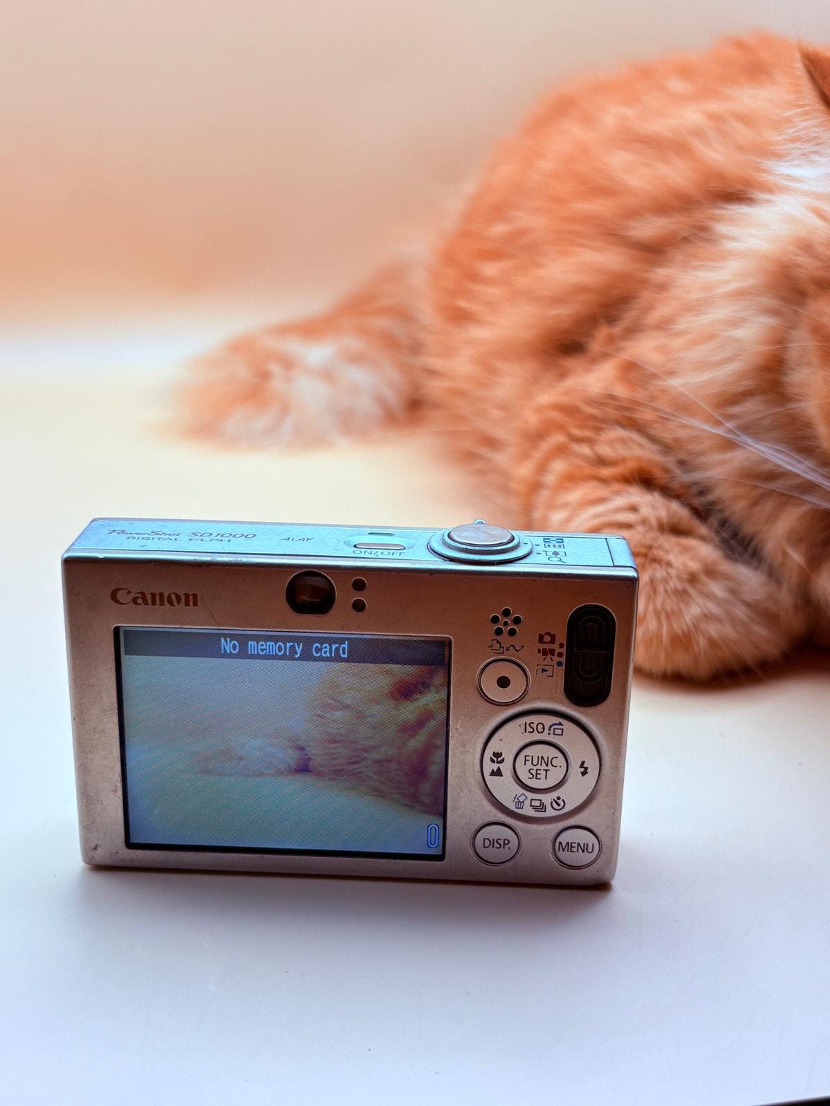 Canon Powershot SD1000 - Etsy