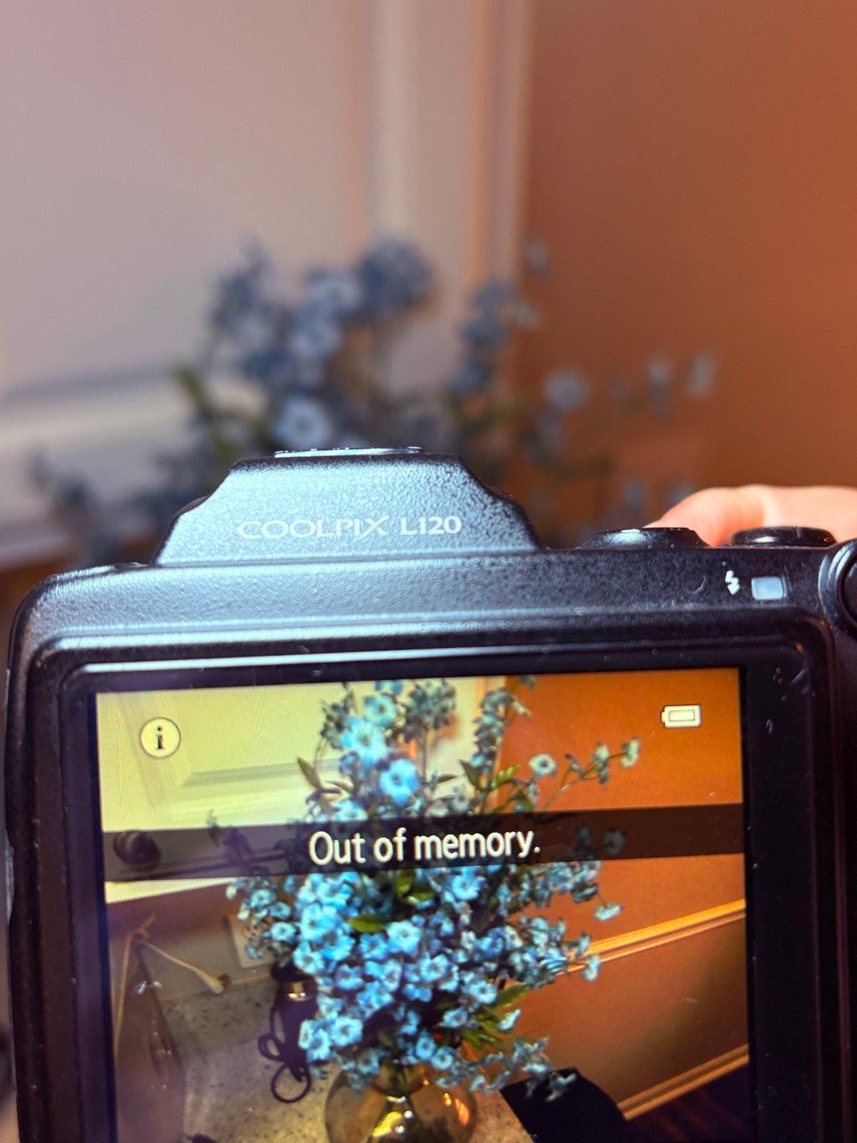 Nikon COOLPIX L120 完動品　箱 説明書付 Sample Coolpix Li20 Nikon COOLPIX L120 完動品 箱 説明書付 Nikon