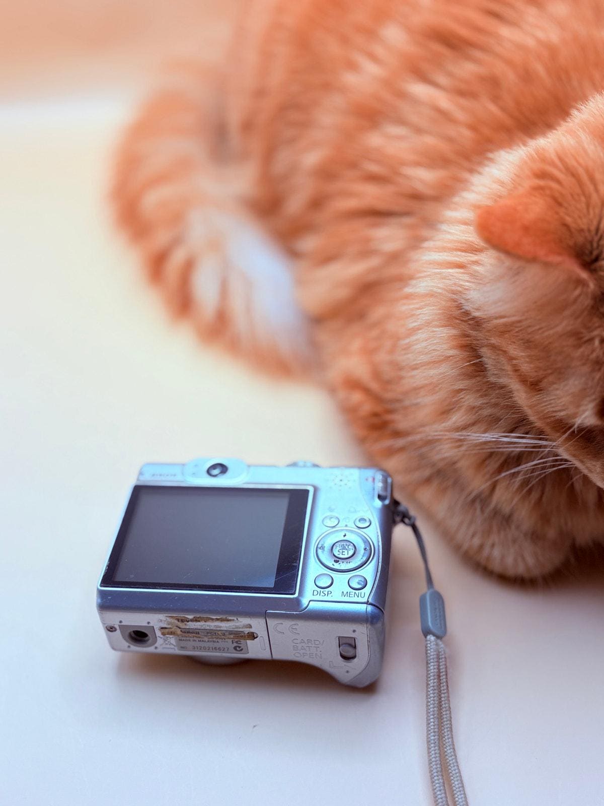 Canon Powershot A540 - Etsy