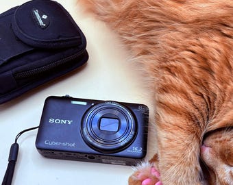 Sony Cybershot DSC-WX80