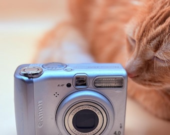 Canon PowerShot A520