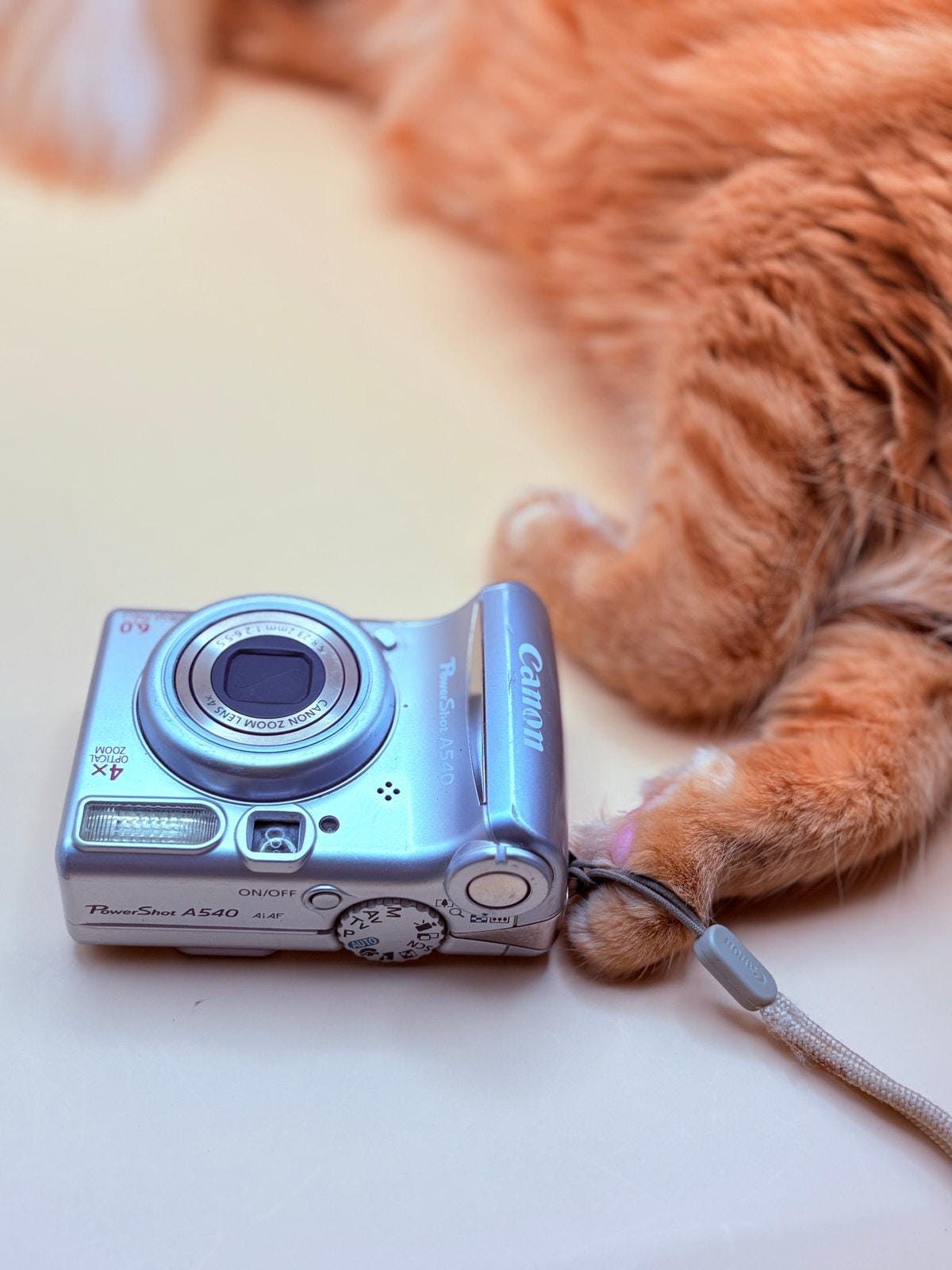 Canon Powershot A540 - Etsy