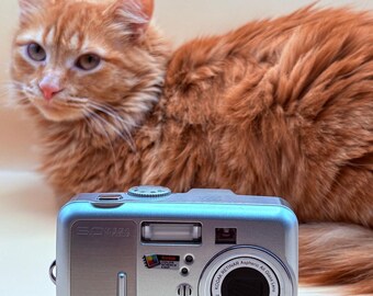 Kodak Easyshare CX7530