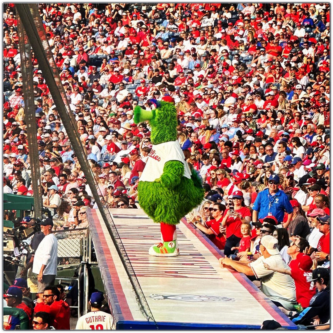 Phillie Phanatic 12 X 12 Metal Art Print Philadelphia Phillies Citizens ...