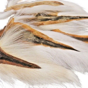 SupplyIt Large Northern Bucktail Natural White Fly Tying Material Deer Hair