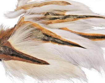 Può includere: Primo piano di una collezione di piume bianche e beige con strisce marrone scuro. Le piume hanno un aspetto morbido e strutturato e sono disposte in un motivo a strati. La tavolozza dei colori è neutra, con un focus sui toni naturali.