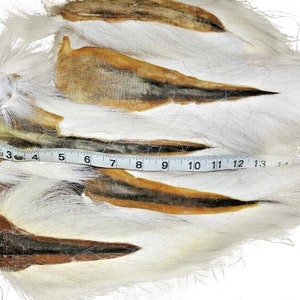 5 SupplyIt Large Northern Bucktail Natural White Fly Tying Material Deer Hair