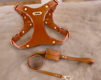 Dog Harness Leather, Personalized Engraved Name Dog Harness, Adjustable No Choke Dog Harness, Leather Dog Vest, Leather Dog Leash