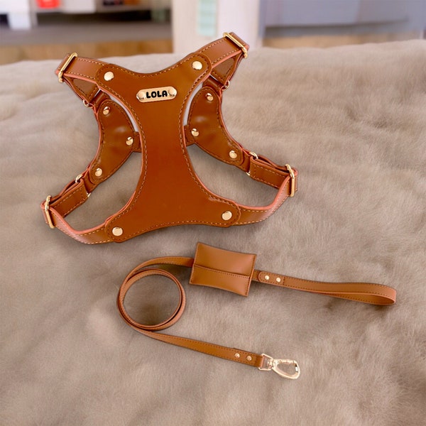 Dog Harness Leather, Personalized Engraved Name Dog Harness, Adjustable No Choke Dog Harness, Leather Dog Vest, Leather Dog Leash