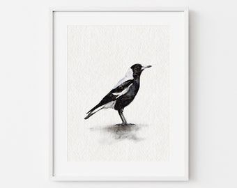 Impression d'art Pie : oiseau australien, décoration bohème (téléchargement numérique)
