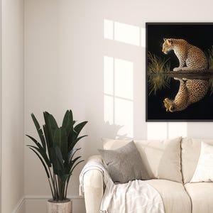 May include: A framed print of a leopard sitting in a body of water, looking at its reflection. The leopard is brown and black with spots. The water is dark and the background is black.
