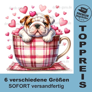 以下が含まれることがあります： ピンクと白のチェック柄のティーカップに座っている白と茶色のブルドッグの子犬。ピンクのハートで囲まれています。画像の右上に「TOPPREIS」というテキストがあります。画像の下部に「6 verschiedene Größen SOFORT versandfertig」というテキストがあります。